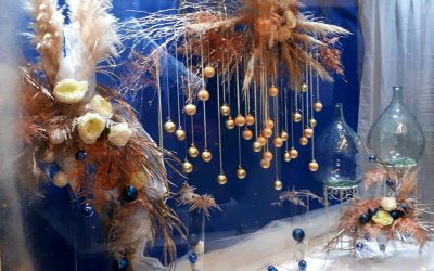 Best Dressed Window Display – The Winners